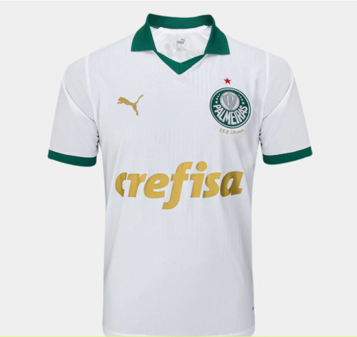 Camisa Palmeiras Torcedor 24/25