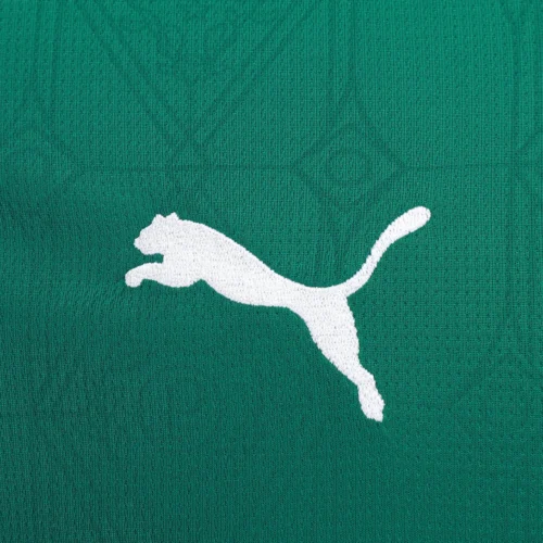 Camisa Palmeiras Torcedor I 25/26 - Imagem 4
