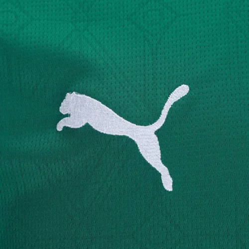 Camisa Palmeiras I 25/26